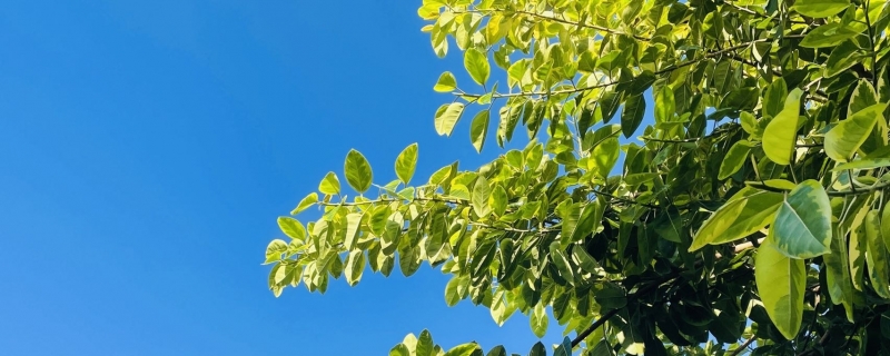 7月16日湖南湖北天气 湖南持续晴热湖北未来高温